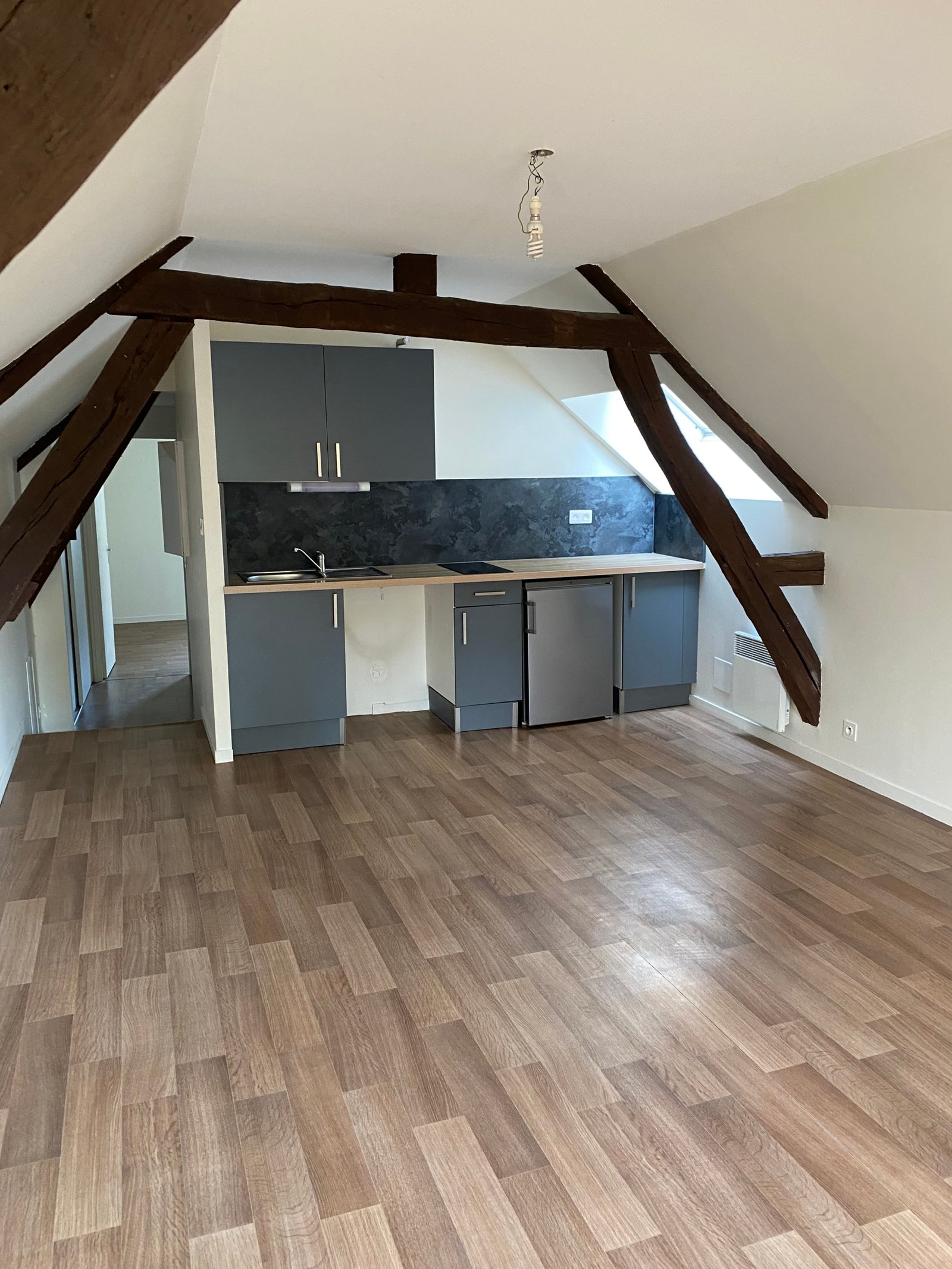 DEUX PIECES SOUS COMBLES PROCHE FAC